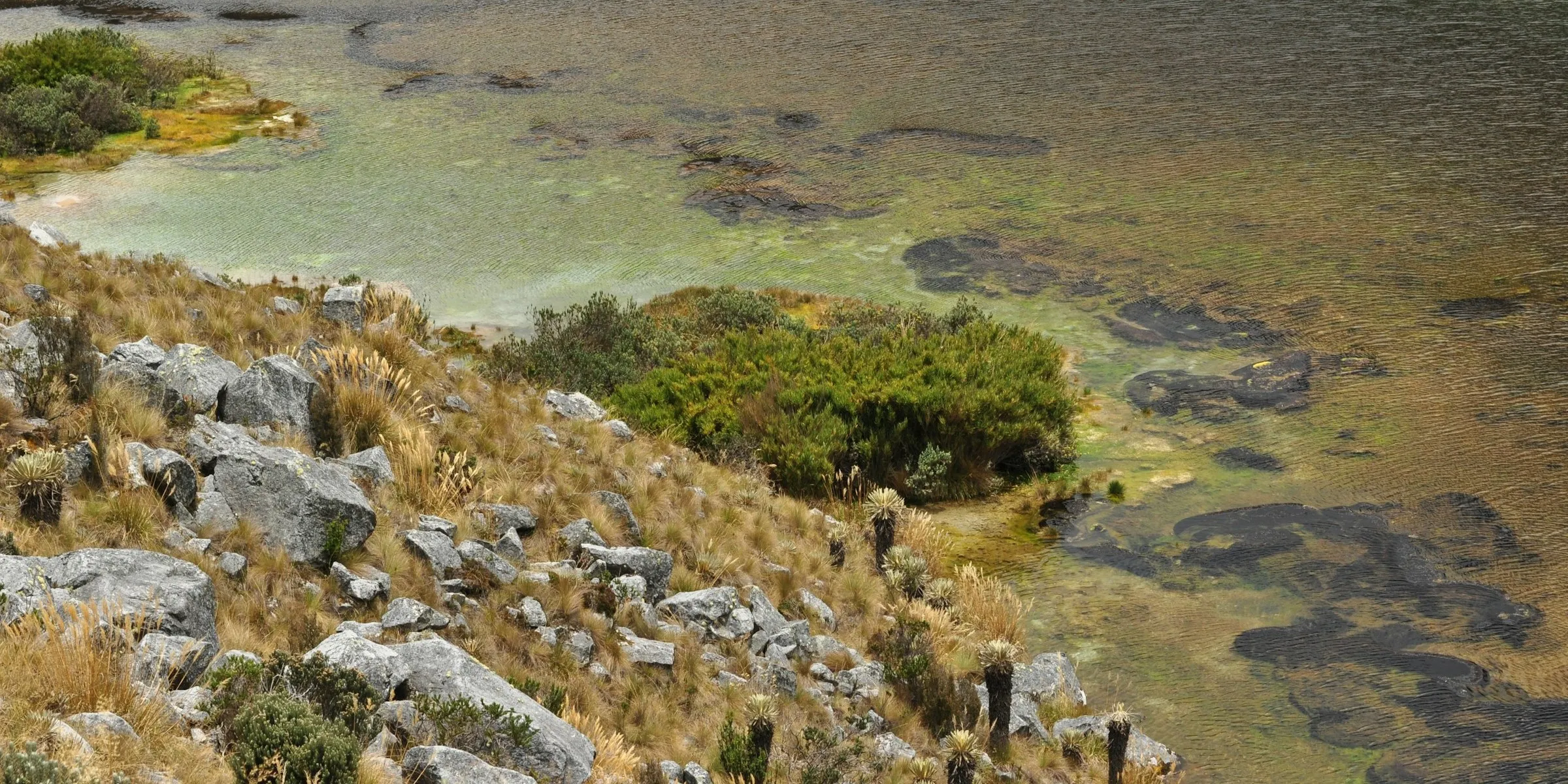 Laguna Grande de la Sierra